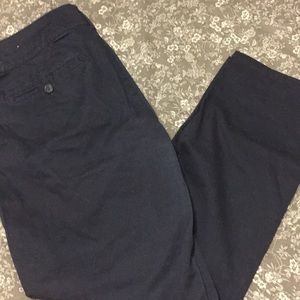 Navy Skinny pants